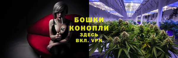 ешки Арсеньев